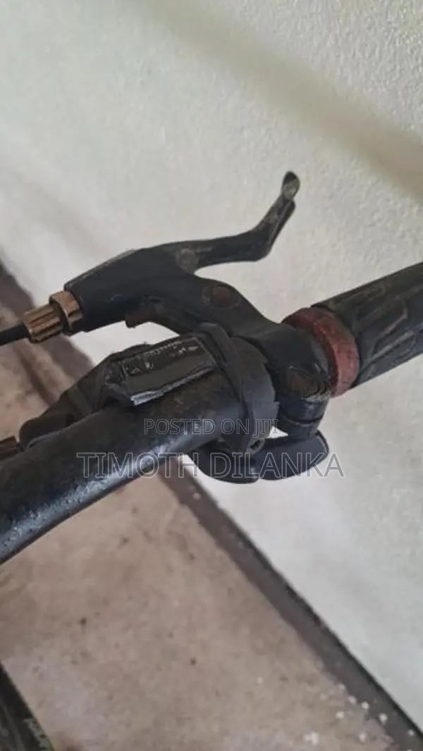 Mountain Bicycle