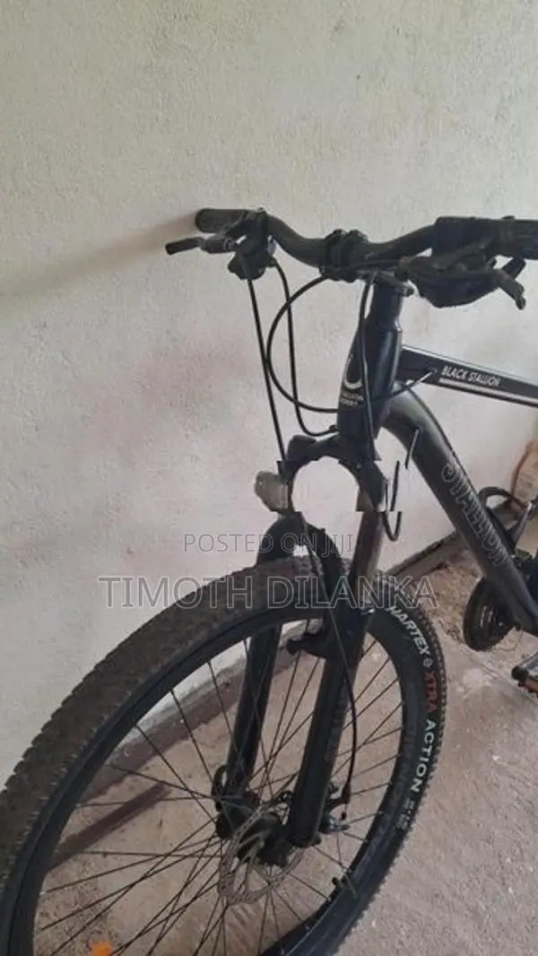 Mountain Bicycle