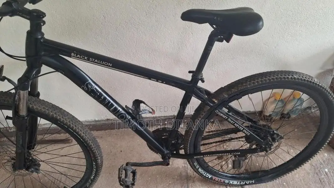 Mountain Bicycle