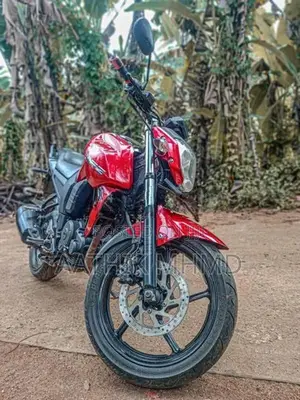 Yamaha FZ 2009