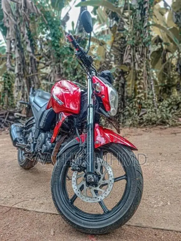 Yamaha FZ 2009