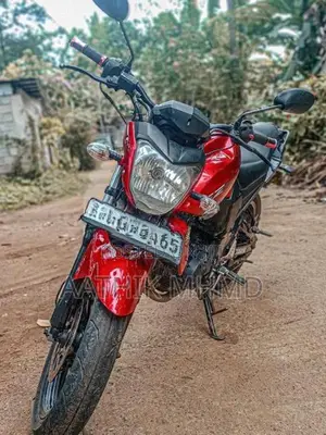 Yamaha FZ 2009