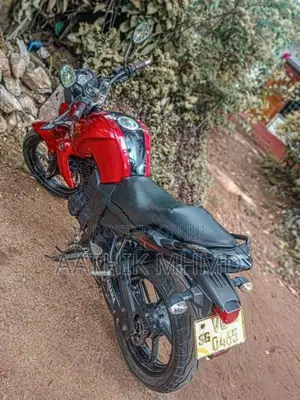 Yamaha FZ 2009