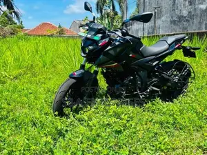 Bajaj Pulsar N160 Brand New 2026