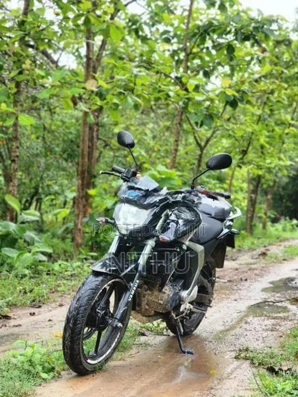 Yamaha FZs V2 2025