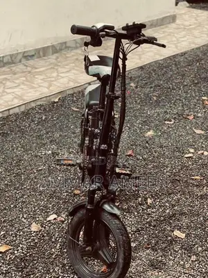 Electric Bicycle