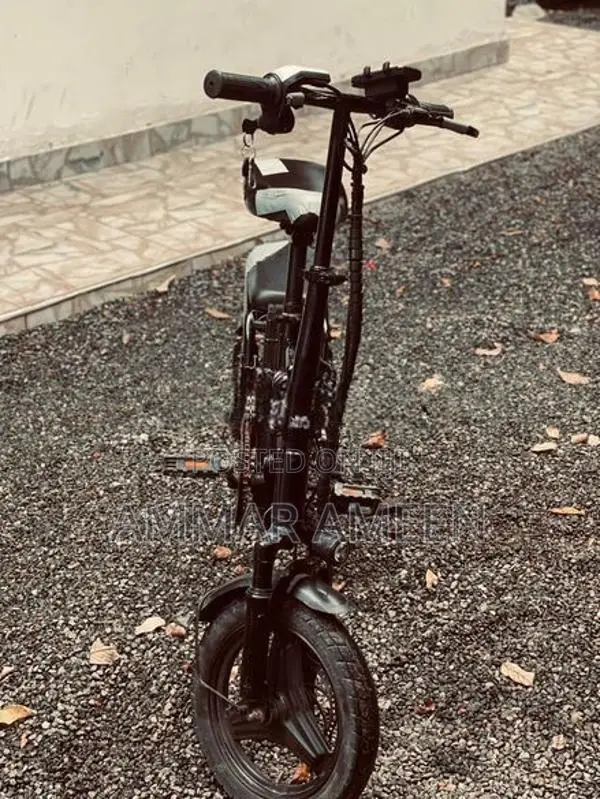 Electric Bicycle