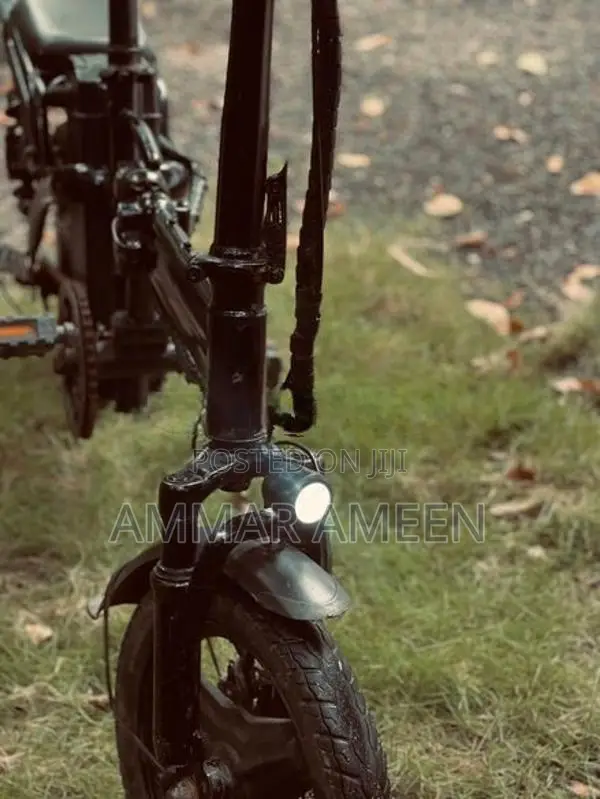 Electric Bicycle