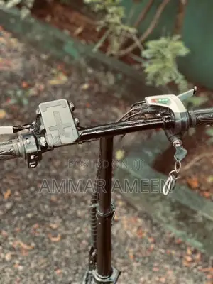 Electric Bicycle