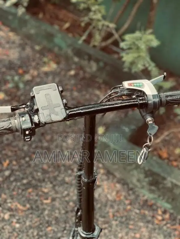 Electric Bicycle