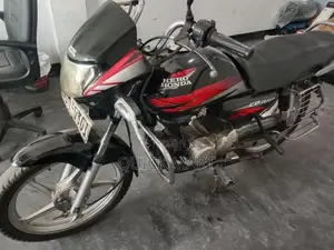Hero HF Deluxe 2010