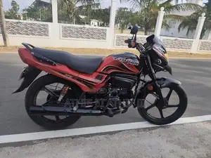 Hero Passion pro 2010