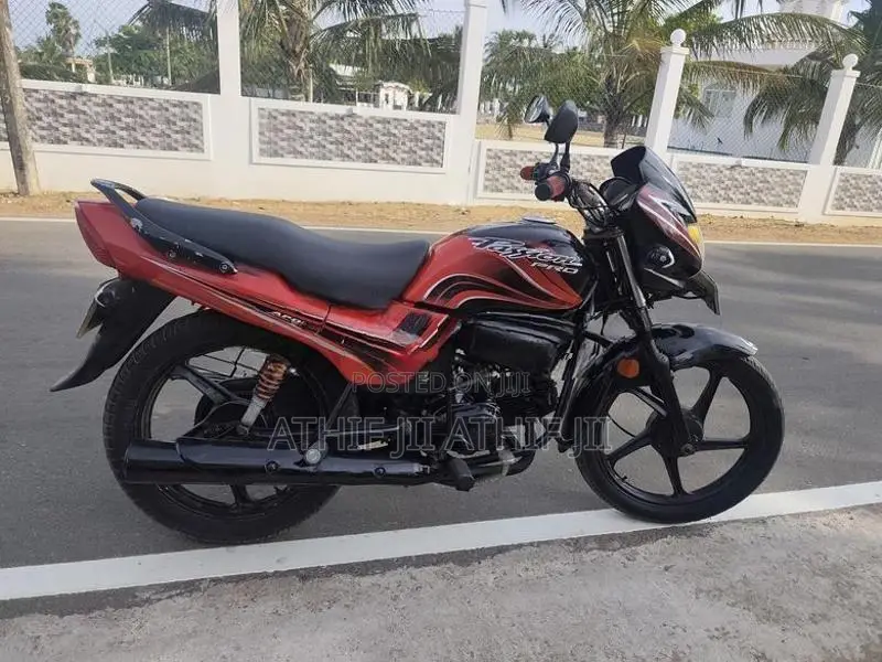 Hero Passion pro 2010