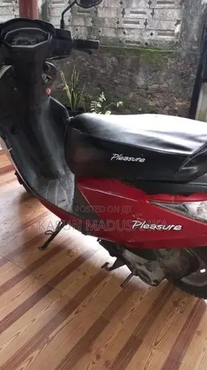Hero Pleasure 2015