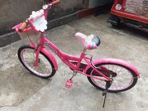 Pink Bicycle