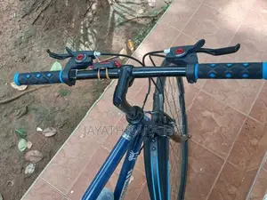 Mountain Bicycle