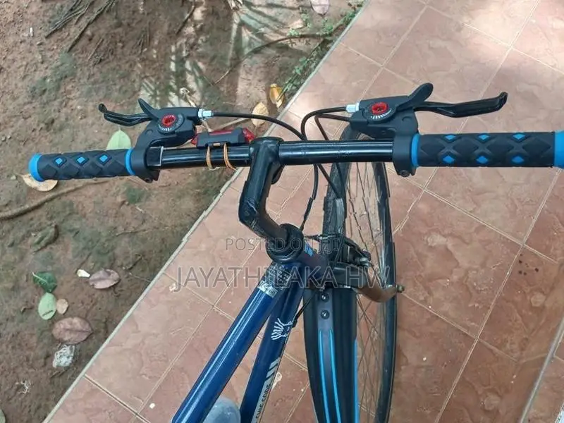 Mountain Bicycle