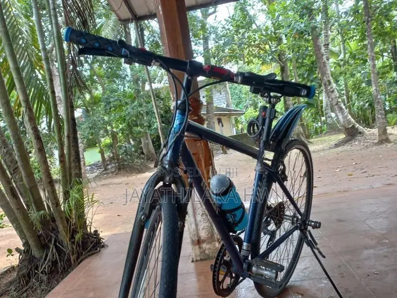 Mountain Bicycle