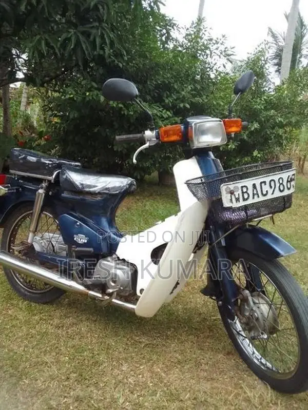 Honda Super Cub 2010