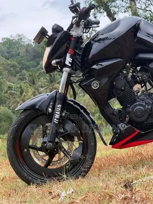 Yamaha FZs V2 Top bike 2016