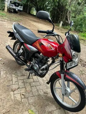 Bajaj Platina 100 2010