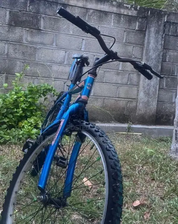 Tomahawk Bicycle