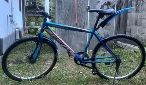 Tomahawk Bicycle