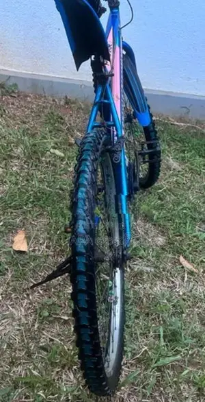 Tomahawk Bicycle