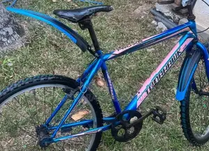 Tomahawk Bicycle