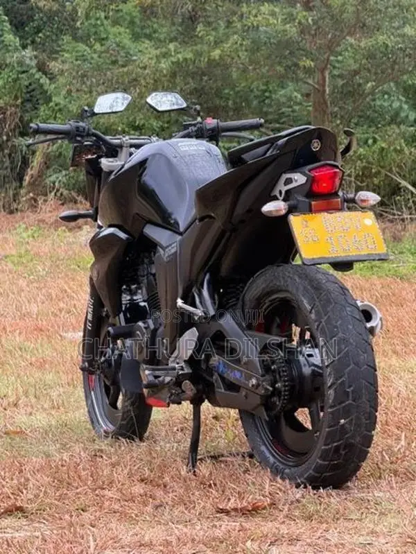 Yamaha FZs V2 Top bike 2016