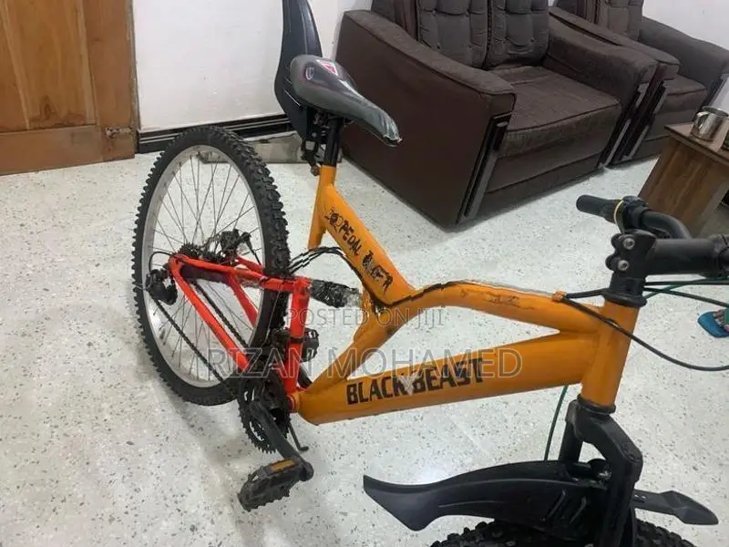 Mountain Bike