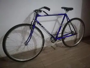 Lumala Push Bicycle