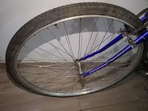 Lumala Push Bicycle