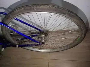 Lumala Push Bicycle