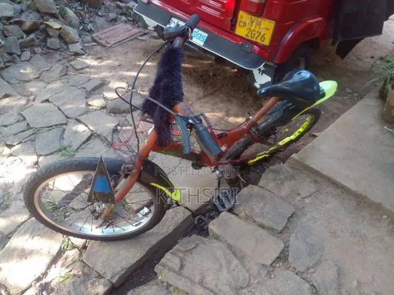 BMX Bicycle