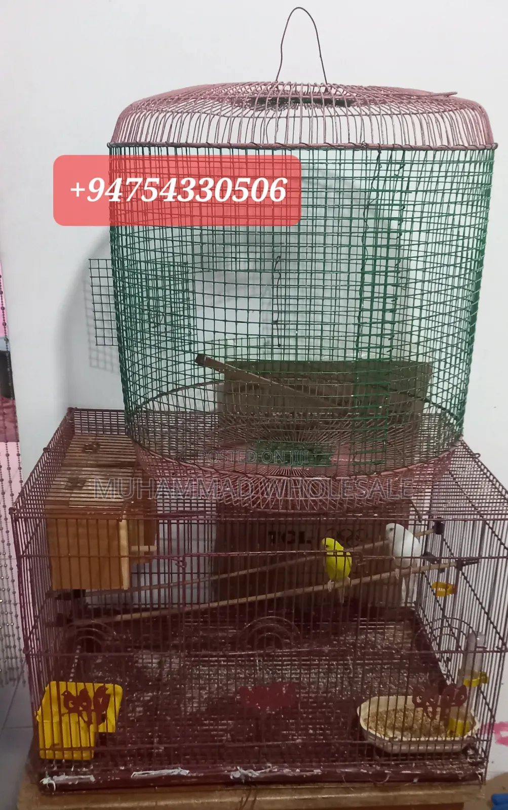 Birds With Cages