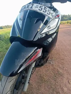 TVS Wego 2012