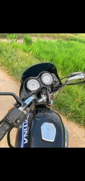 Bajaj Platina 125 2010