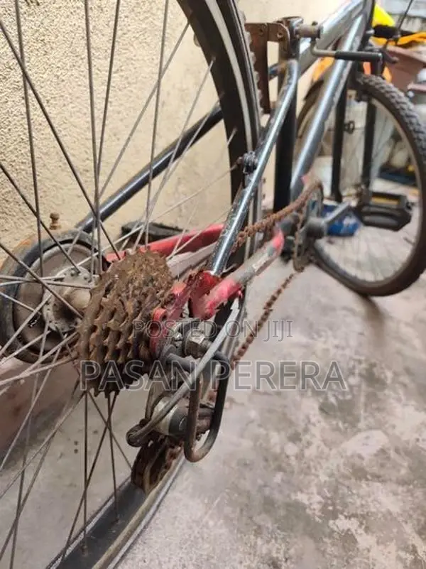 Junior Mountain Bicycle