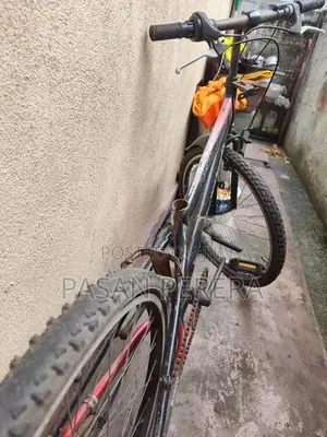 Junior Mountain Bicycle