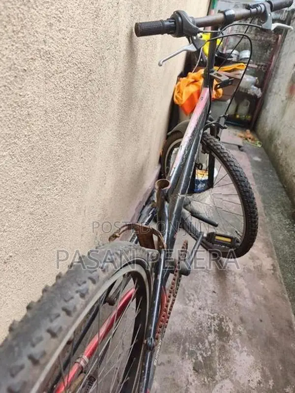 Junior Mountain Bicycle