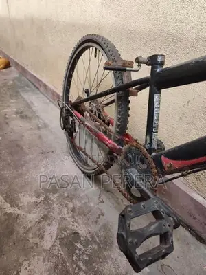 Junior Mountain Bicycle