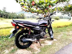Bajaj Platina 100 2015