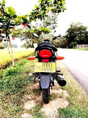 Bajaj Platina 100 2015