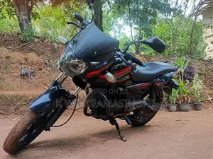 Bajaj Pulsar 150 2010