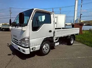 Isuzu Elf Flatbed 2020