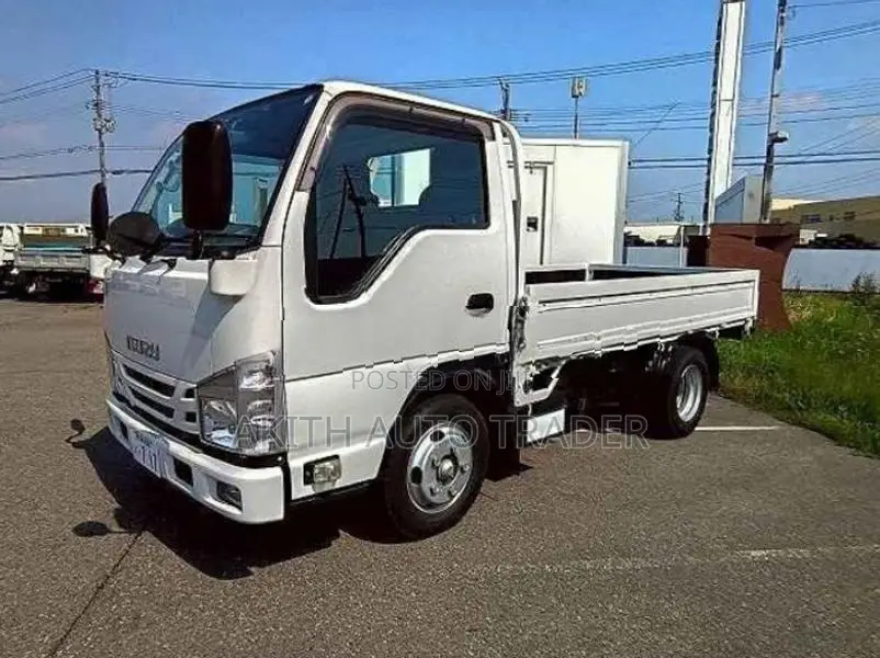 Isuzu Elf Flatbed 2020