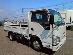Isuzu Elf Flatbed 2020