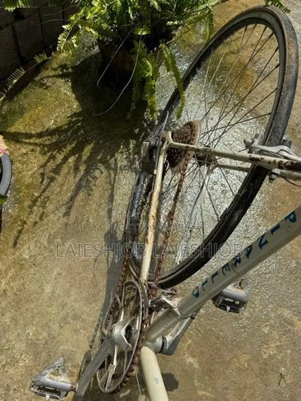Bicycle