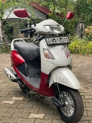 Hero Pleasure 2010